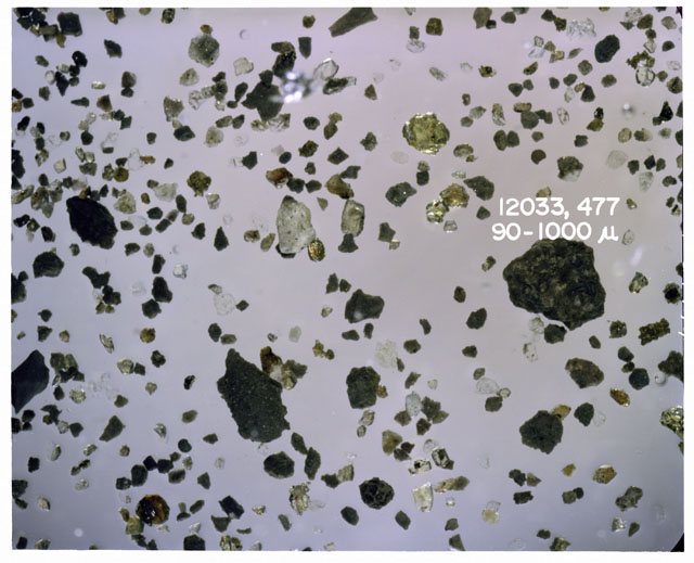Color photograph of Apollo 12 sample 12033,477; Processing photograph displaying soil grains measuring 90-1000 microns.