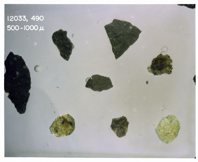 Color photograph of Apollo 12 sample 12033,490; Processing photograph displaying soil grains measuring 500-1000 microns.