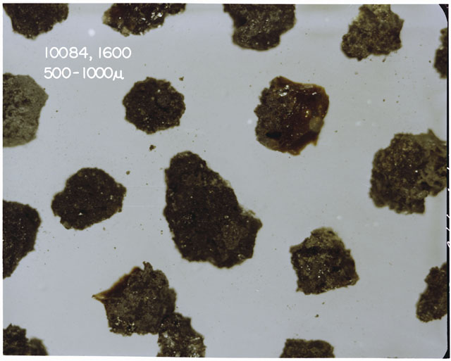 Color photograph of Apollo 11 Sample(s) 10084,1600; Processing photograph displaying a soil at 500-1000 micron.