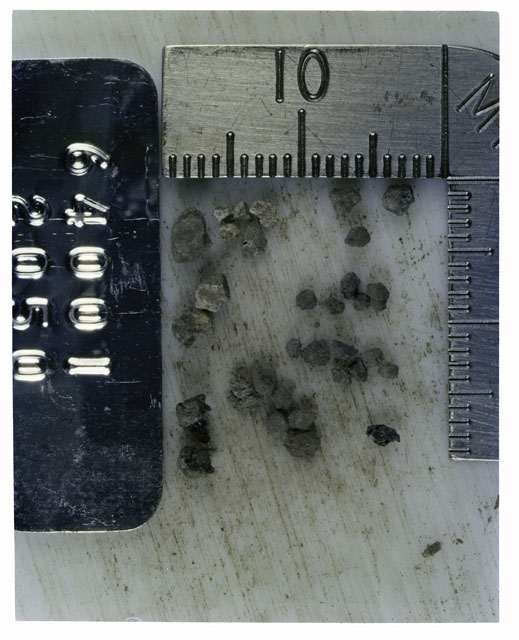 Color photograph of Apollo 16 Core Sample 64001,2050; Processing photograph displaying >1 MM Core Fines .