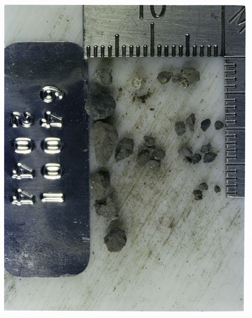 Color photograph of Apollo 16 Core Sample 64001,2044; Processing photograph displaying >1 MM Core Fines .
