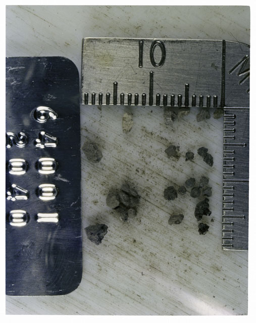 Color photograph of Apollo 16 Core Sample 64001,2040; Processing photograph displaying >1 MM Core Fines .