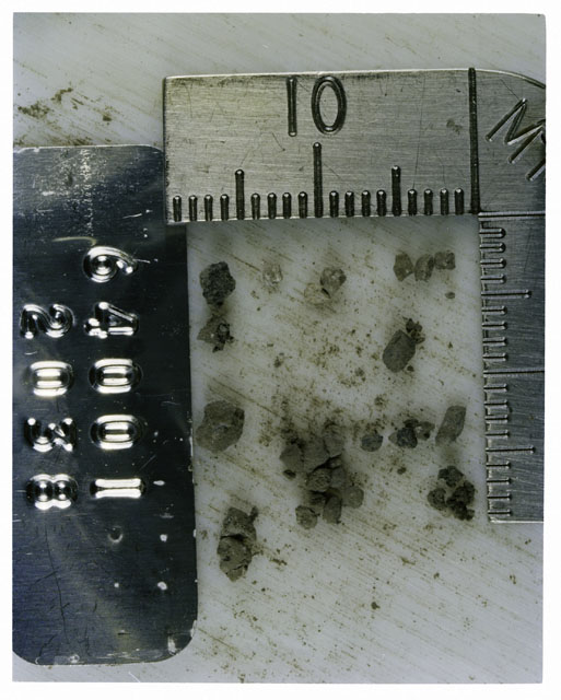 Color photograph of Apollo 16 Core Sample 64001,2038; Processing photograph displaying >1 MM Core Fines .