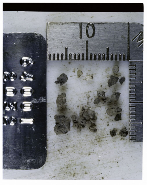Color photograph of Apollo 16 Core Sample 64001,2032; Processing photograph displaying >1 MM Core Fines .