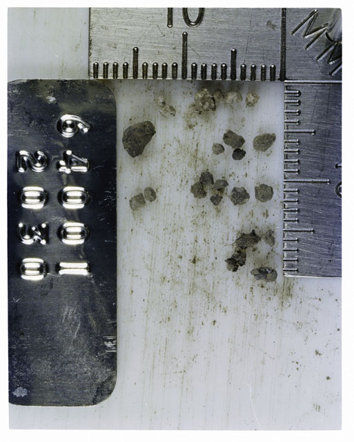 Color photograph of Apollo 16 Core Sample 64001,2030; Processing photograph displaying >1 MM Core Fines .