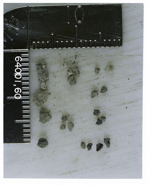 Color photograph of Apollo 16 Core Sample 64001,60; Processing photograph displaying >1 MM Core Fines .