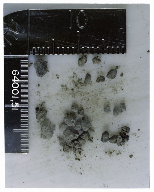Color photograph of Apollo 16 Core Sample 64001,51; Processing photograph displaying >1 MM Core Fines .