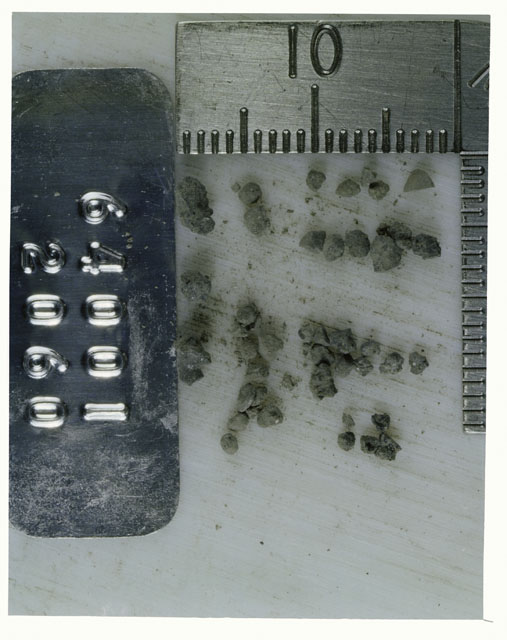 Color photograph of Apollo 16 Core Sample 64001,2060; Processing photograph displaying >1 MM Core Fines .