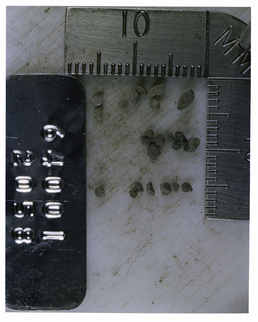 Color photograph of Apollo 16 Core Sample 64001,2058; Processing photograph displaying >1 MM Core Fines .