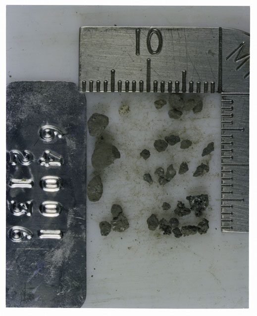 Color photograph of Apollo 16 Core Sample 64001,2136; Processing photograph displaying >1 MM Core Fines .