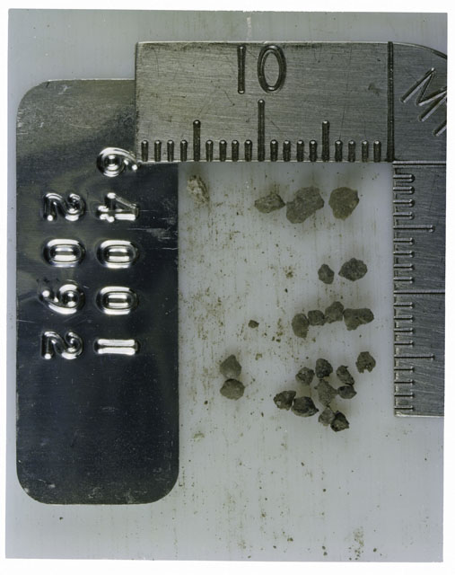 Color photograph of Apollo 16 Core Sample 64001,2092; Processing photograph displaying >1 MM Core Fines .