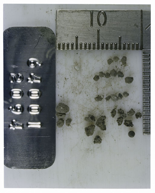Color photograph of Apollo 16 Core Sample 64001,2094; Processing photograph displaying >1 MM Core Fines .