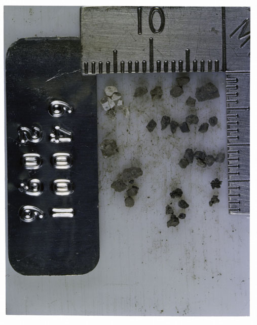 Color photograph of Apollo 16 Core Sample 64001,2096; Processing photograph displaying >1 MM Core Fines .