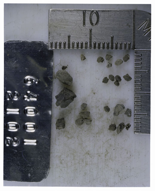 Color photograph of Apollo 16 Core Sample 64001,2102; Processing photograph displaying >1 MM Core Fines .