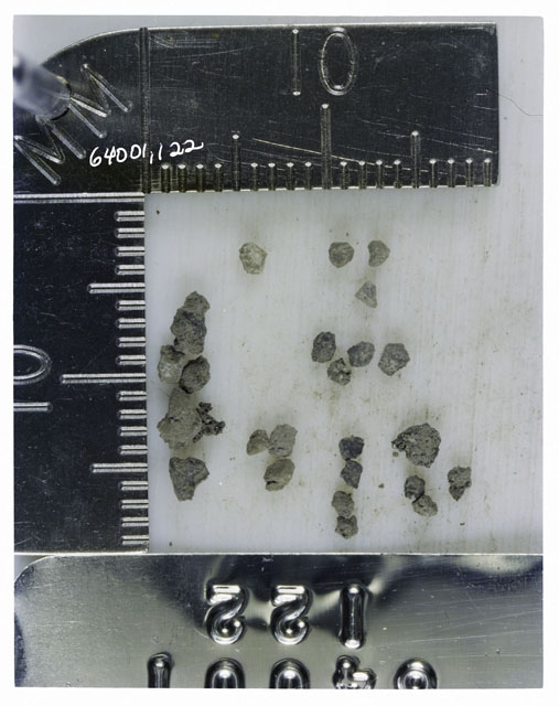 Color photograph of Apollo 16 Core Sample 64001,22; Processing photograph displaying >1 MM Core Fines .