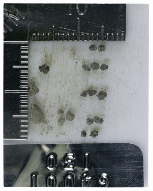 Color photograph of Apollo 16 Core Sample 64001,130; Processing photograph displaying >1 MM Core Fines .