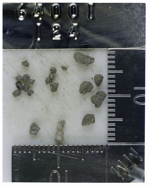 Color photograph of Apollo 16 Core Sample 64001,124; Processing photograph displaying >1 MM Core Fines .