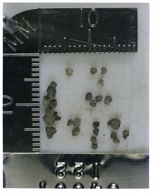 Color photograph of Apollo 16 Core Sample 64001,122; Processing photograph displaying >1 MM Core Fines .