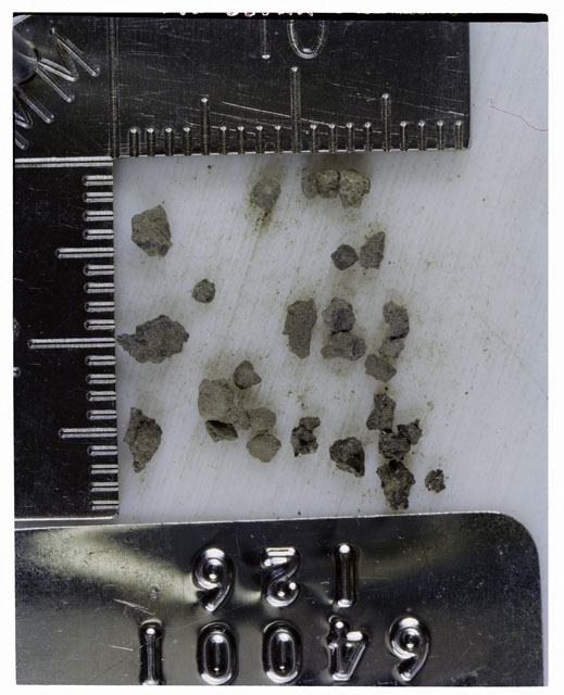 Color photograph of Apollo 16 Core Sample 64001,126; Processing photograph displaying >1 MM Core Fines .