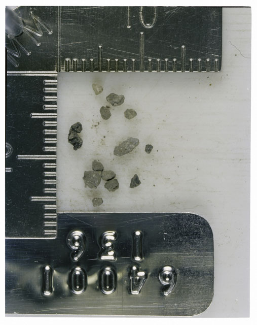 Color photograph of Apollo 16 Core Sample 64001,136; Processing photograph displaying >1 MM Core Fines .