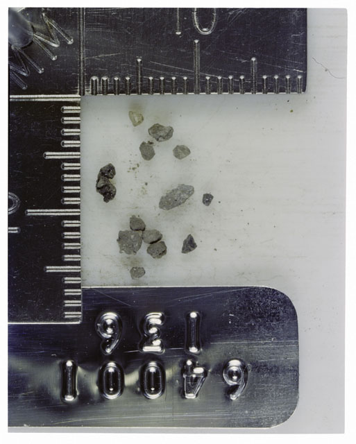 Color photograph of Apollo 16 Core Sample 64001,136; Processing photograph displaying >1 MM Core Fines .