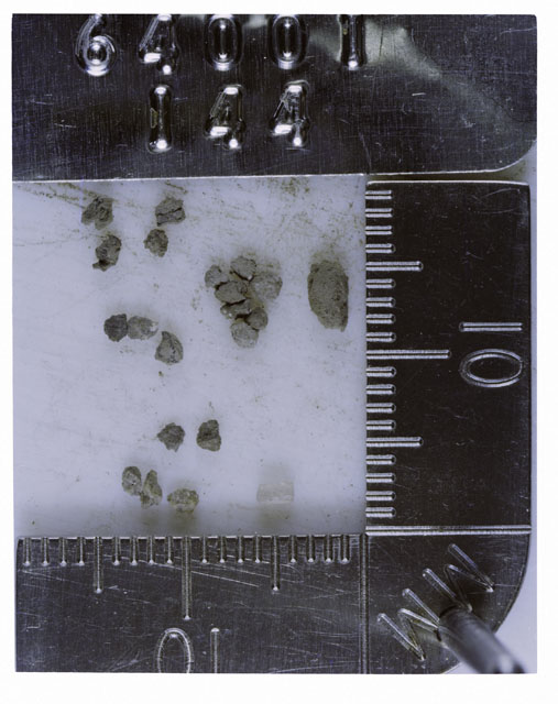 Color photograph of Apollo 16 Core Sample 64001,144; Processing photograph displaying >1 MM Core Fines .