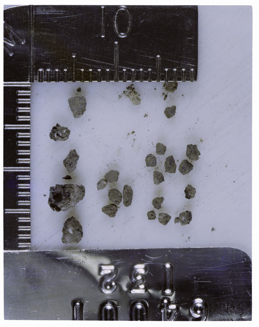 Color photograph of Apollo 16 Core Sample 64001,132; Processing photograph displaying >1 MM Core Fines .