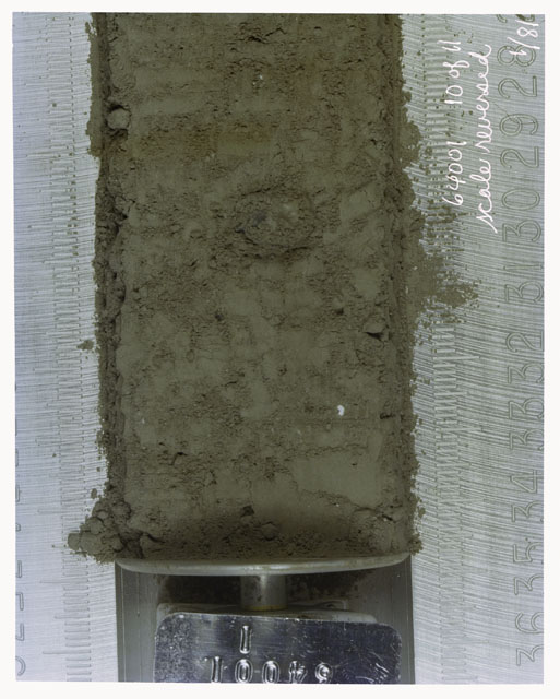 Color photograph of Apollo 16 Core Sample(s) 64001,1; 10 of 11 Processing photograph of displaying Core with scale reversed.