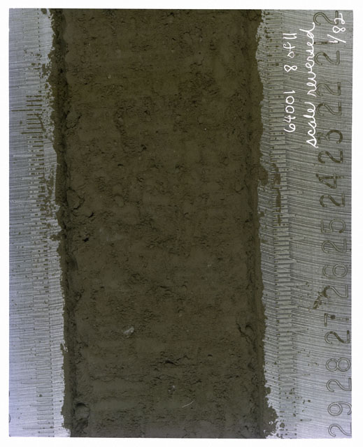 Color photograph of Apollo 16 Core Sample(s) 64001,1; 8 of 11 Processing photograph of displaying Core with scale reversed.