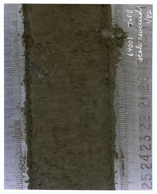 Color photograph of Apollo 16 Core Sample(s) 64001,1; 7 of 11 Processing photograph of displaying Core with scale reversed.