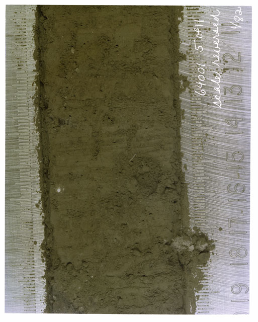 Color photograph of Apollo 16 Core Sample(s) 64001,1; 5 of 11 Processing photograph of displaying Core with scale reversed.