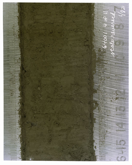 Color photograph of Apollo 16 Core Sample(s) 64001,1; 4 of 11 Processing photograph of displaying Core with scale reversed.