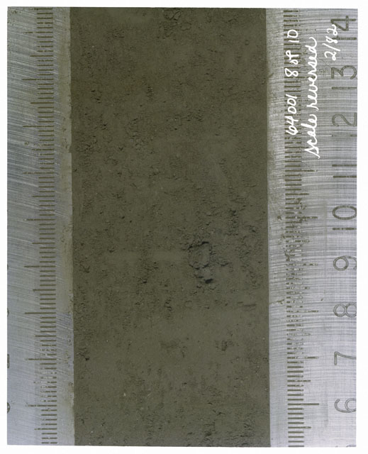 Color photograph of Apollo 16 Core Sample(s) 64001,1; 8 of 10 Processing photograph of displaying Core with scale reversed.