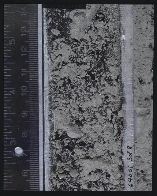 Color photograph of Apollo 16 Sample(s) 64001,6001; 3 of 8 Processing photograph displaying peel side Core at 5.5-14 cm depth.
