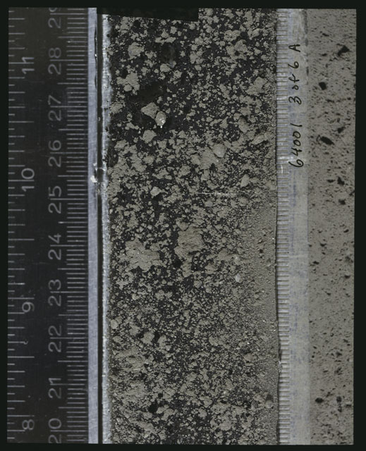Color photograph of Apollo 16 Sample(s) 64001; 3 of 6 A Processing photograph displaying peel Core at 20-29 cm depth.