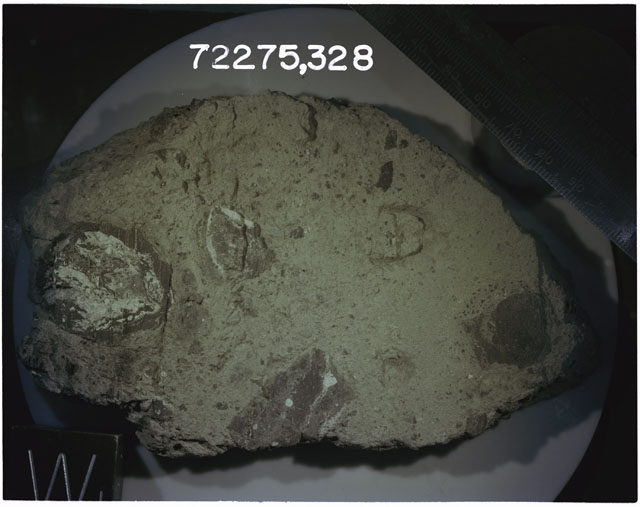 Color photograph of Apollo 17 Sample(s)72275,328; Processing photograph displaying slab with an orientation of W.