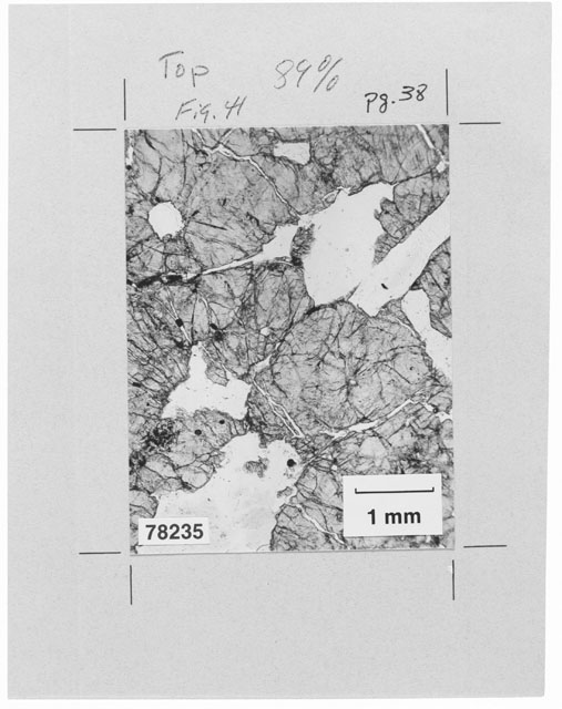 Thin Section Photograph of Apollo 17 Sample 78235