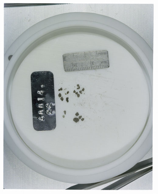 Color photograph of Apollo 16 Core Sample 60014,22; Processing photograph displaying >1 MM Core Fines .