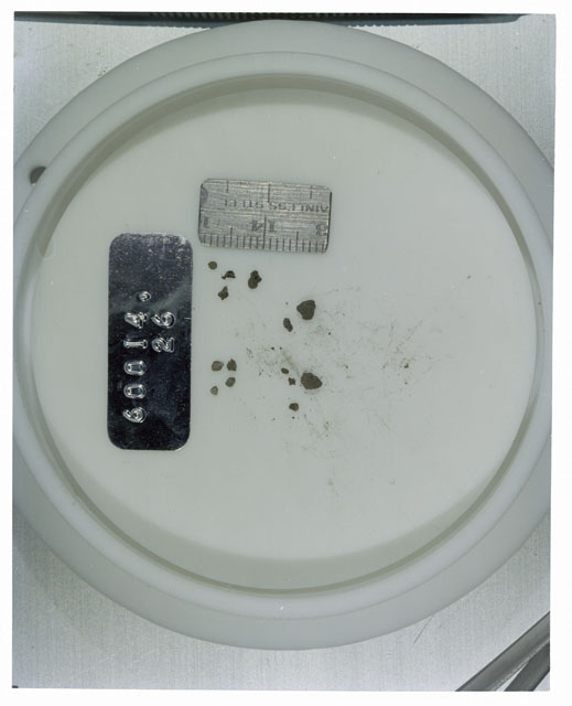 Color photograph of Apollo 16 Core Sample 60014,26; Processing photograph displaying >1 MM Core Fines .