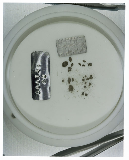Color photograph of Apollo 16 Core Sample 60014,20; Processing photograph displaying >1 MM Core Fines .
