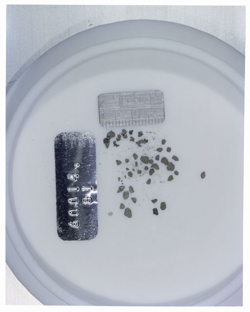 Color photograph of Apollo 16 Core Sample 60014,81; Processing photograph displaying >1 MM Core Fines .