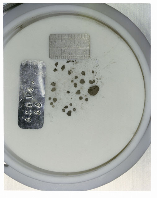 Color photograph of Apollo 16 Core Sample 60014,66; Processing photograph displaying >1 MM Core Fines .