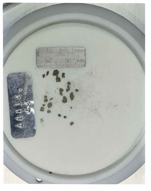 Color photograph of Apollo 16 Core Sample 60014,64; Processing photograph displaying >1 MM Core Fines .