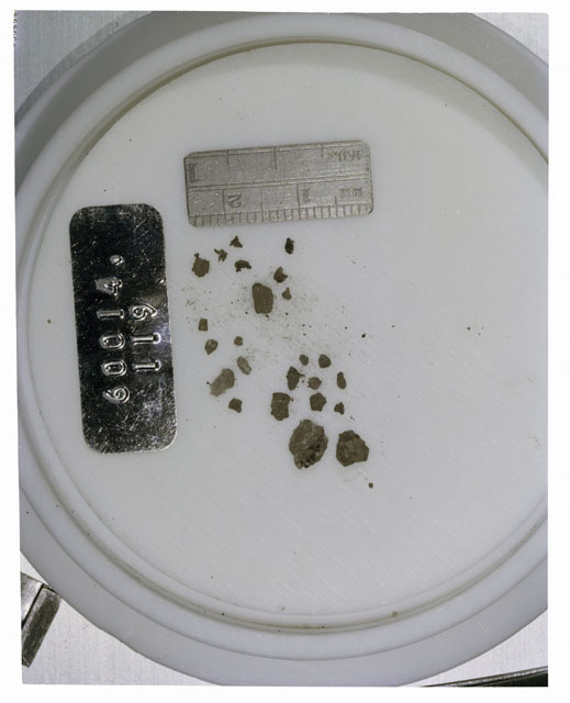 Color photograph of Apollo 16 Core Sample 60014,119; Processing photograph displaying >1 MM Core Fines .