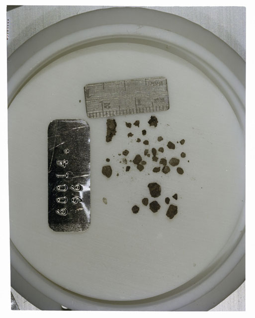 Color photograph of Apollo 16 Core Sample 60014,96; Processing photograph displaying >1 MM Core Fines .