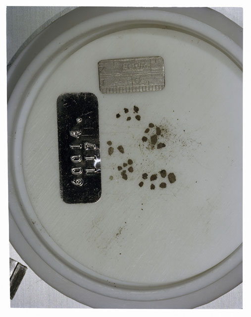 Color photograph of Apollo 16 Core Sample 60014,117; Processing photograph displaying >1 MM Core Fines .