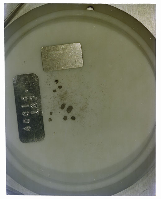 Color photograph of Apollo 16 Core Sample 60014,127; Processing photograph displaying >1 MM Core Fines .