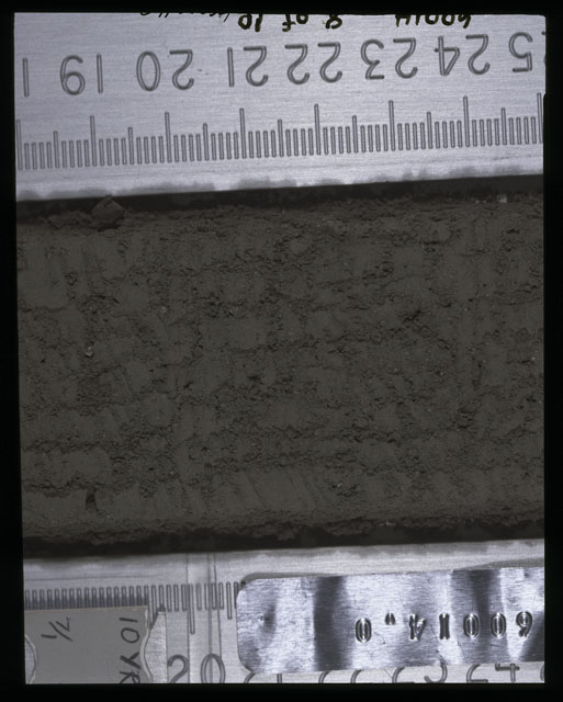 Color photograph of Apollo 16 Sample(s) 60014,0; 8 of 10 Processing photograph displaying after 1st dissection and derinding Core Tube at 18-25 cm depth.