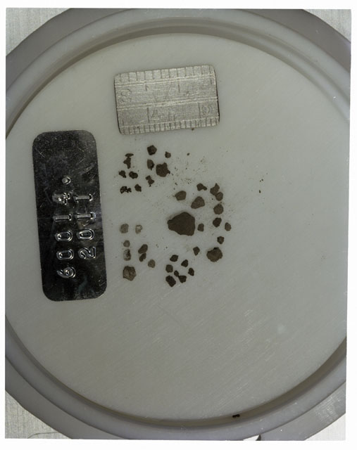 Color photograph of Apollo 16 Core Sample 60014,2011; Processing photograph displaying >1 MM Core Fines .