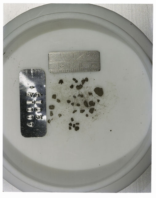 Color photograph of Apollo 16 Core Sample 60014,2019; Processing photograph displaying >1 MM Core Fines .